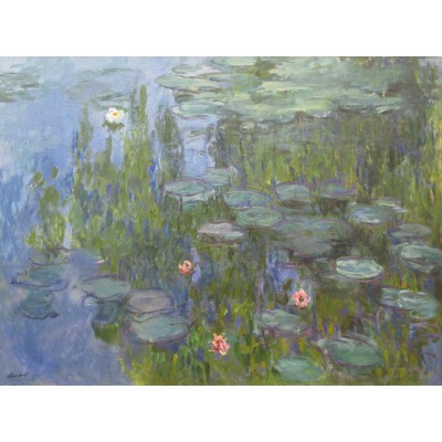 Grafika-F-30106 Claude Monet : Nymphéas, 1915