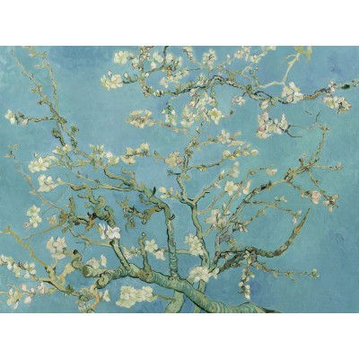 Grafika-F-30109 Vincent van Gogh : Amandier en Fleurs, 1890