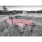 Grafika-F-30330 Oldtimer - Rose