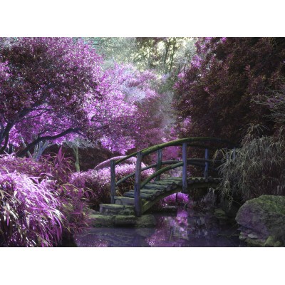 Grafika-F-30412 Pont Zen