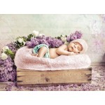 Grafika-F-30439 Konrad Bak: Baby sleeping in the Lilac