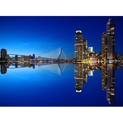 Grafika-F-30464 Rotterdam