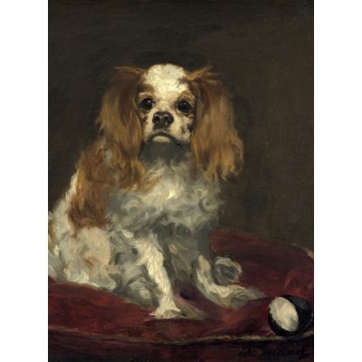 Grafika-F-30469 Edouard Manet : Un Cavalier King Charles Spaniel, 1866