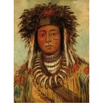 Grafika-F-30625 George Catlin : Chef Indien - Ojibbeway, 1843