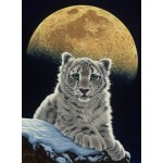 Grafika-F-30684 Schim Schimmel - Moon Leopard