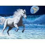 Grafika-F-30725 Schim Schimmel - Wave Runner