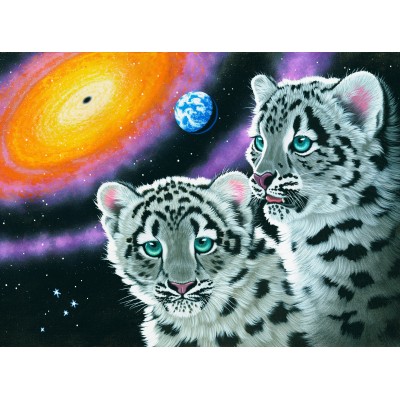 Grafika-F-30727 Schim Schimmel - Miracle of the Universe