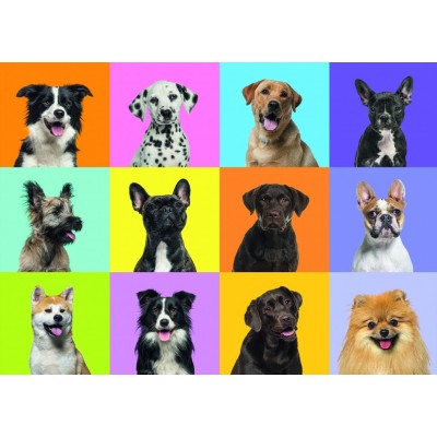Grafika-F-32733 Collage de Chiens
