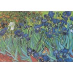 Grafika-F-32751 Vincent Van Gogh - Saint-Remy - Les Iris, 1889