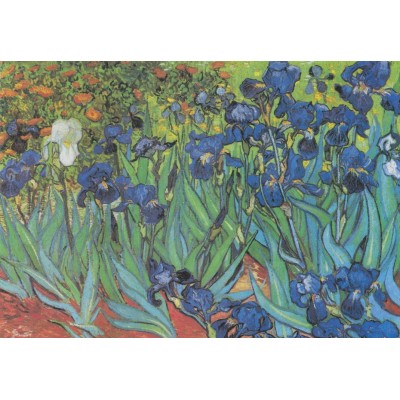 Grafika-F-32751 Vincent Van Gogh - Saint-Remy - Les Iris, 1889