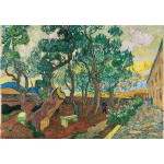 Grafika-F-32769 Van Gogh - Le parc de l'hôpital, 1889