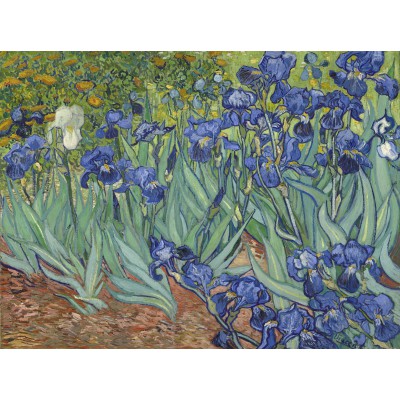 Grafika-F-33320 Vincent Van Gogh - Les Iris, 1889