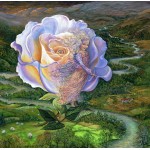 Grafika-F-33481 Josephine Wall - Adrift