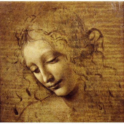 Grafika-F-33545 Léonard de Vinci : Visage de Giovane Fanciulla, 1508