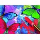 Papillons en Peinture