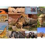 Grafika-T-00131 Collage - Wildlife