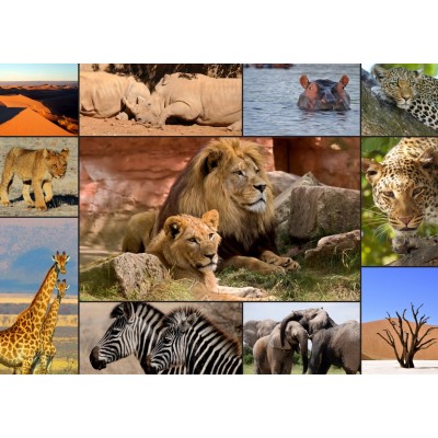 Grafika-T-00133 Collage - Wildlife
