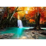 Grafika-T-00628 Cascade dans la Forêt