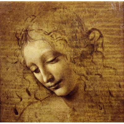 Grafika-T-02324 Léonard de Vinci : Visage de Giovane Fanciulla, 1508