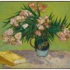 Van Gogh Vincent : Lauriers Roses,1888