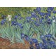 Vincent Van Gogh - Les Iris, 1889