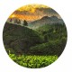 Puzzle en Bois - Le Champ de Thé