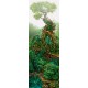 Arbres Cyanide