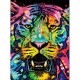 Dean Russo : Jolly Pets, Wild Tiger