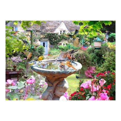 House-Of-Puzzles-HP0728 Oiseaux D'Été