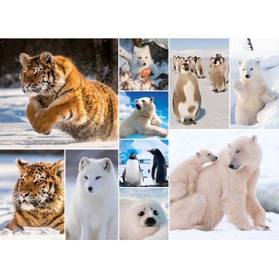 King-Puzzle-55870 Collage - Artic Life