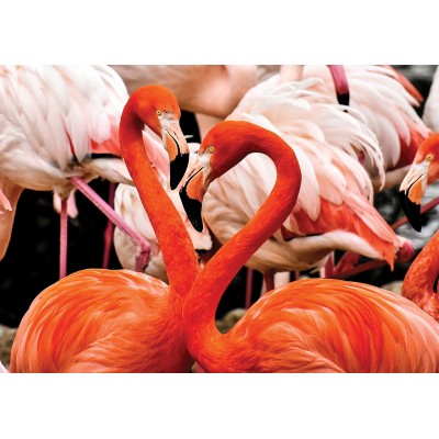 KS-Games-10107 Flamingo Lovers