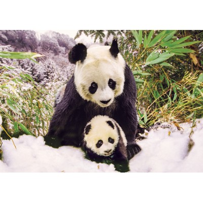 KS-Games-10109 Panda Mother