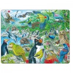 Larsen-FH44 Puzzle Cadre - New Zealand's Picturesque Wildlife
