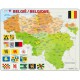 Puzzle Cadre - Carte de la Belgique (en Français et Flamand)