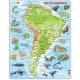 Puzzle Cadre - Carte de l'Amérique du Sud (en Anglais)
