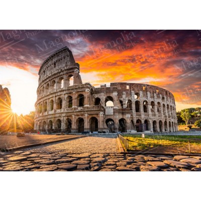 Magnolia-2333 Rome