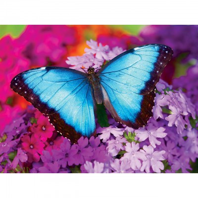 Master-Pieces-31622 Iridescence - Butterfly