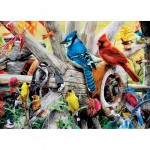 Master-Pieces-31978 Backyard Birds
