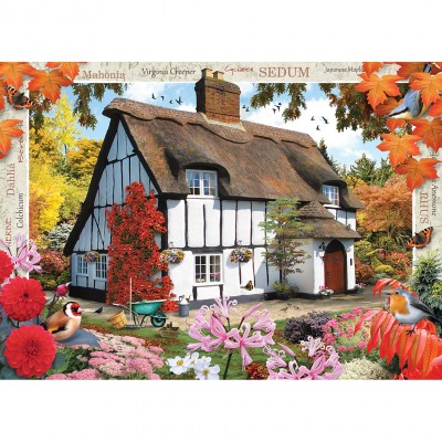 Master-Pieces-71813 Autumn Cottage