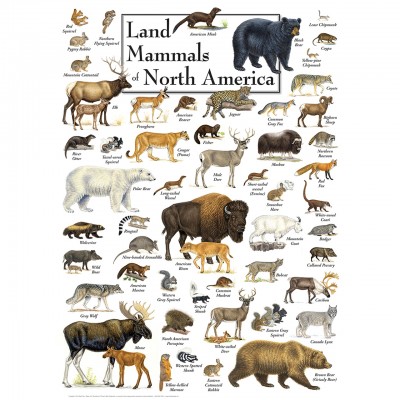 Master-Pieces-71973 Land Mammals of North America