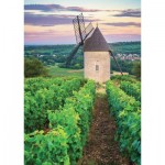 Nathan-00898 Moulin Sorine - Vignoble de Santenay - Bourgogne