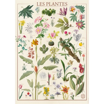 Nathan-00931 Muséum National d'Histoire Naturelle - Les Plantes