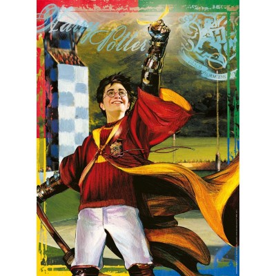 Nathan-86880 Harry Potter - Quidditch