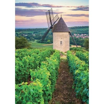 Nathan-87254 Moulin Sorine - Vignoble de Santenay - Bourgogne