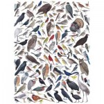 New-York-Puzzle-CB1836 Birds of Eastern - Central North America