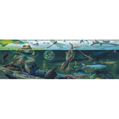 New-York-Puzzle-NG1982 Pièces XXL - Freshwater Ecosystem