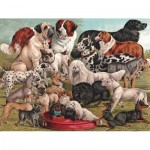 New-York-Puzzle-PD1880 Dog Breeds