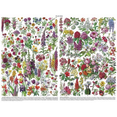 New-York-Puzzle-PD1976 Flowers - Fleurs