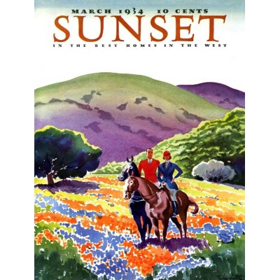 New-York-Puzzle-SU2006 Pièces XXL - Sunset - Horses in The Hills