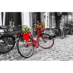 Nova-Puzzle-41004 La Bicyclette Rouge